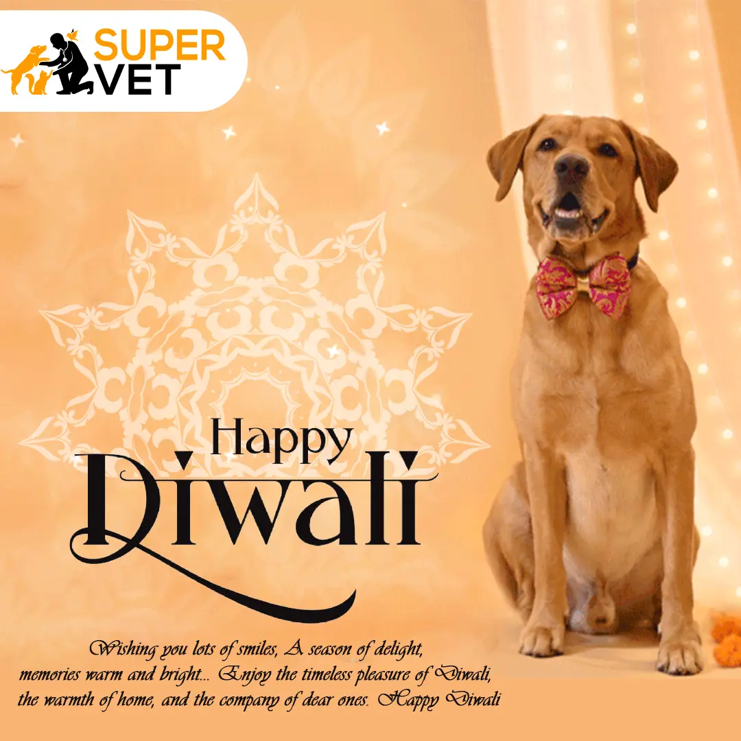 diwali Post