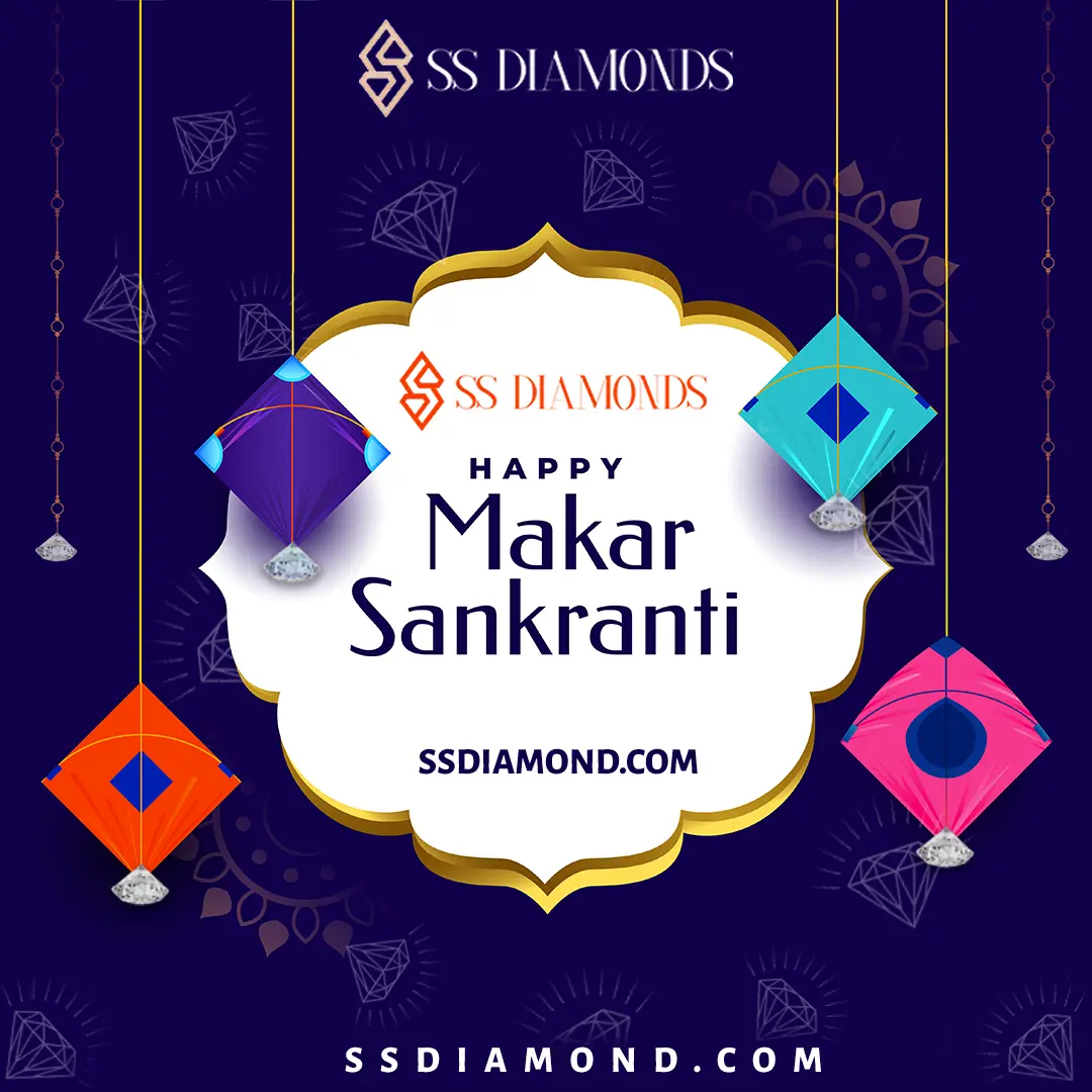 makar sakranti post