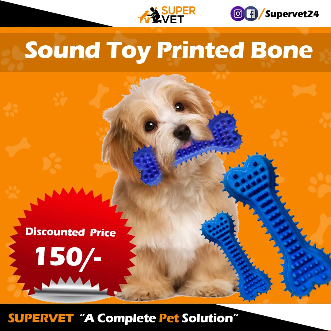 pet toys 3
